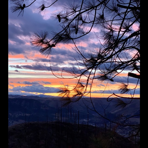 Meet your Posher, Phillip - Picture 2 of 8